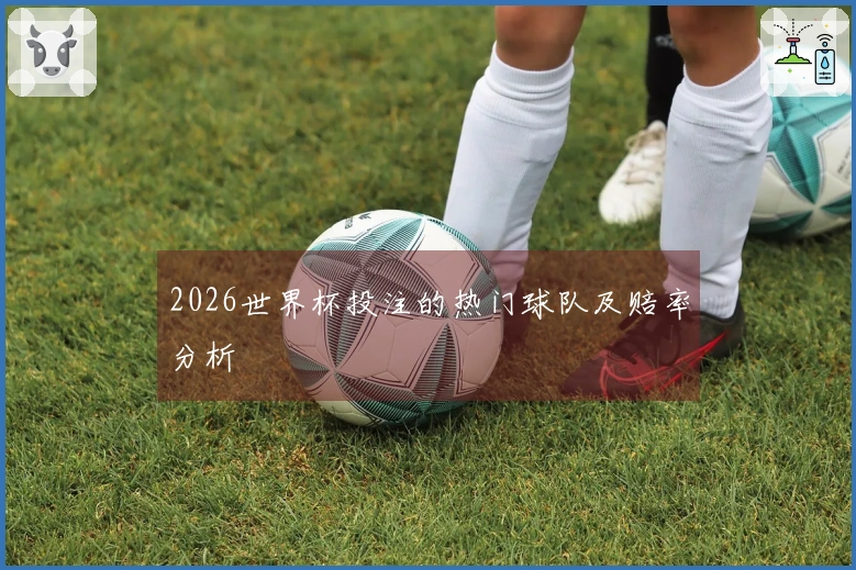 2026世界杯投注的热门球队及赔率分析