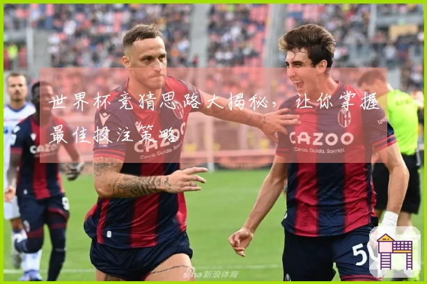 世界杯竞猜思路大揭秘，让你掌握最佳投注策略