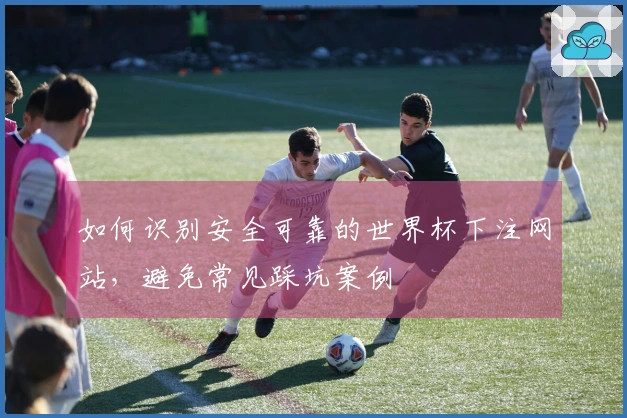 如何识别安全可靠的世界杯下注网站，避免常见踩坑案例